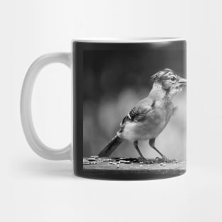 young bluejay.. Mug